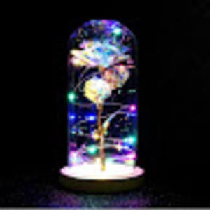 Meet your Posher, Slime queen